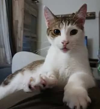 Charlie