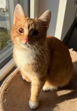 Charlie