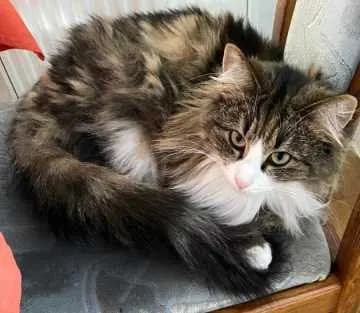 Mia
