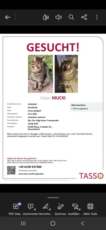 Mucki
