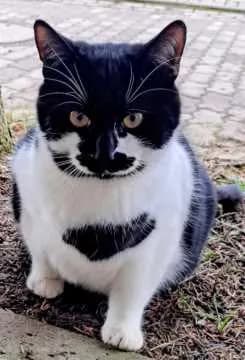 Charlie