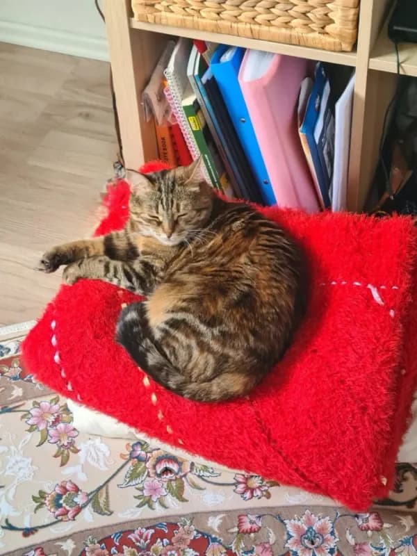 Leni