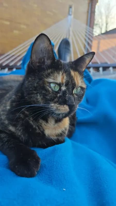 Coco