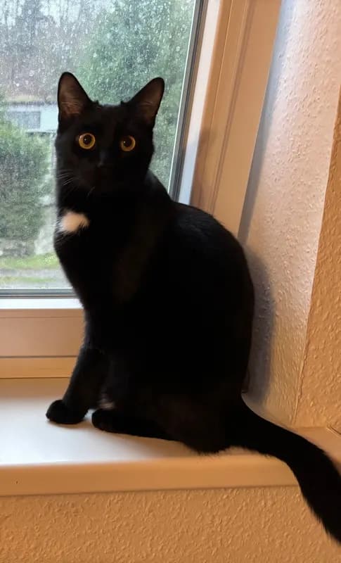 Max