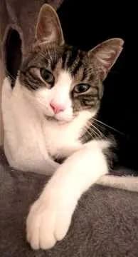 Milow