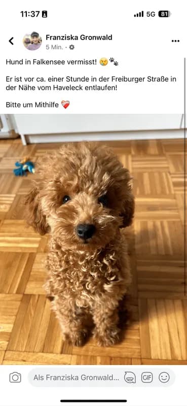 Benji