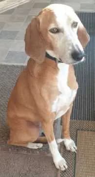 Stacy