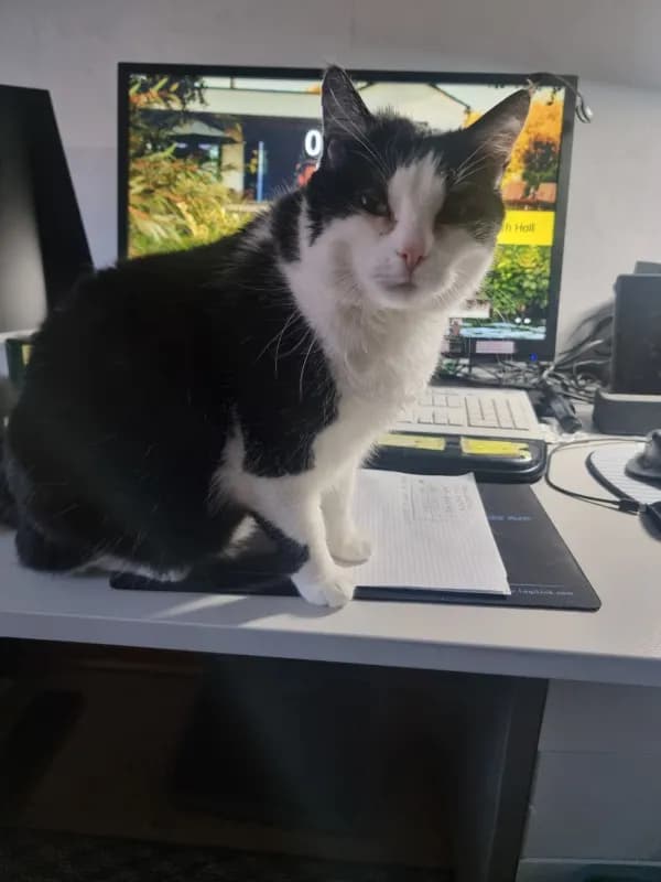 Monty