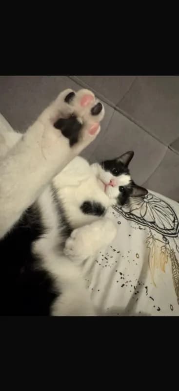 Milo