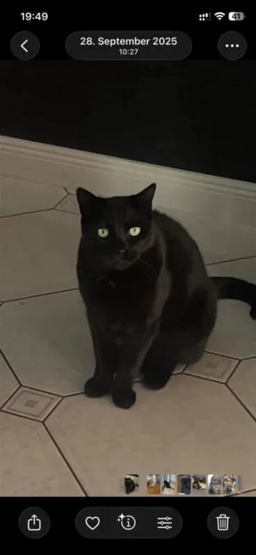 Marley