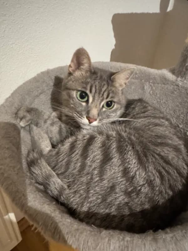 Mia