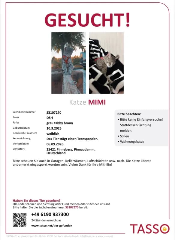 Mimi