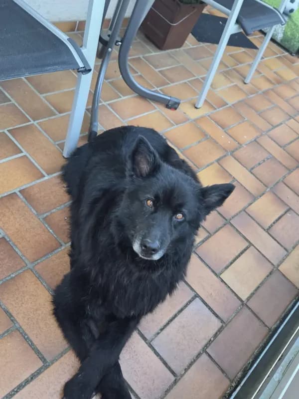 Oskar