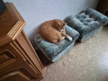 Jerry