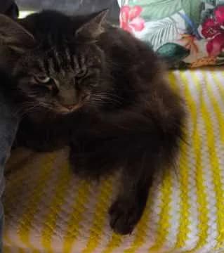 George