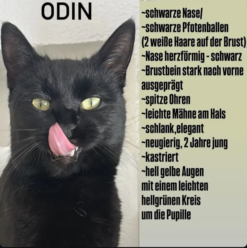 Odin