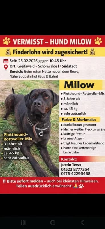 Milow