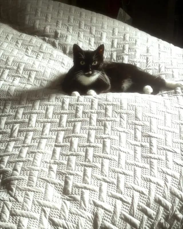 Lucy