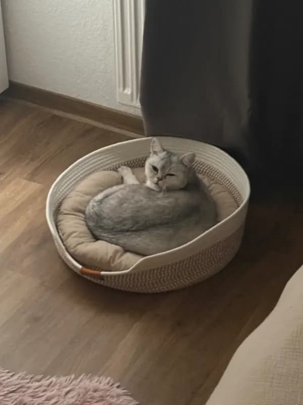 Coco