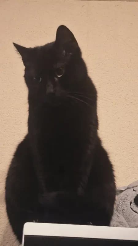 Salem