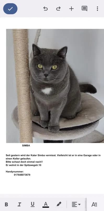 Simba