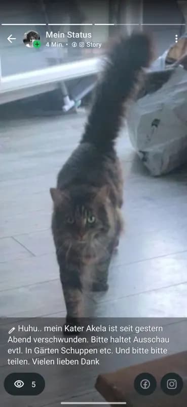 Akela
