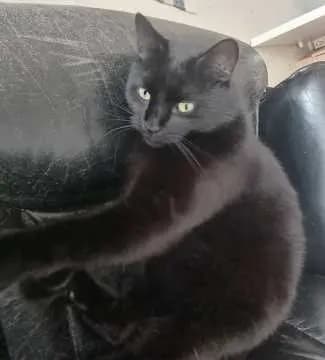 Ares