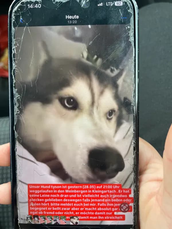 Tyson