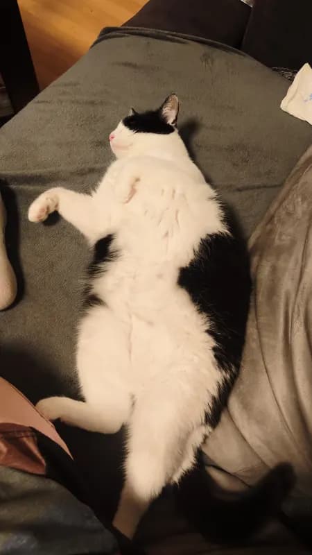 Lixie
