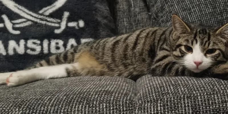 Stinker