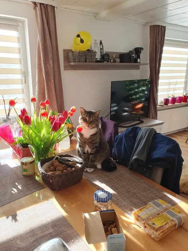 Max