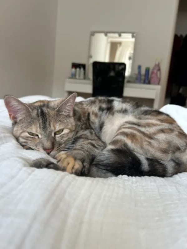 Lua