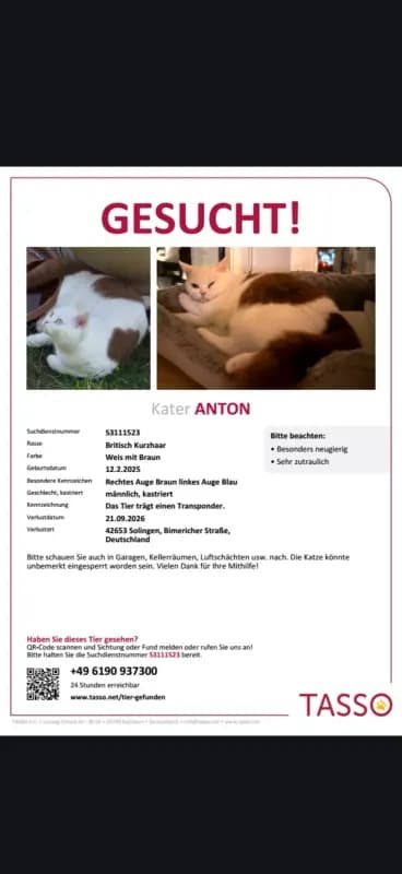 Anton