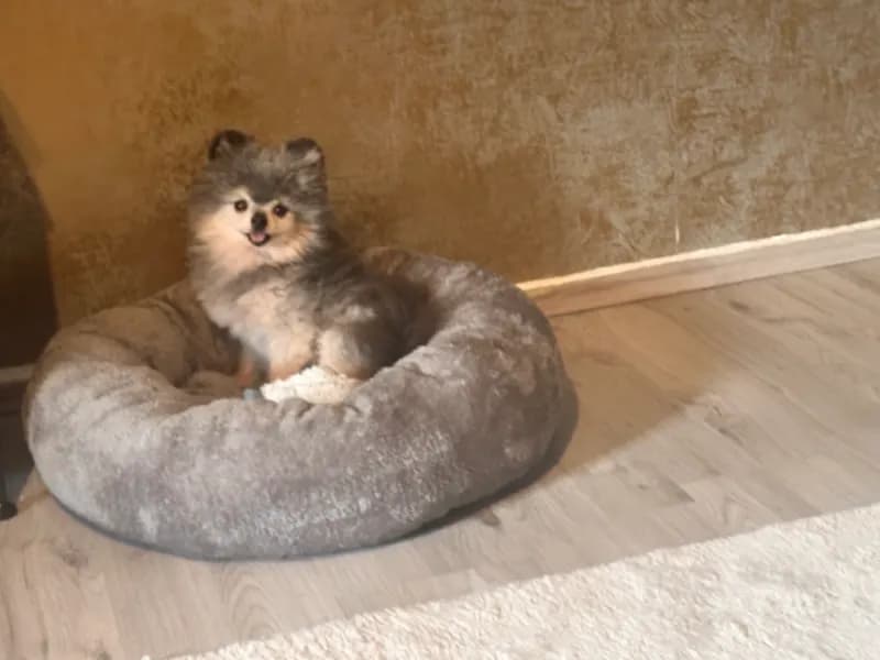Tyson