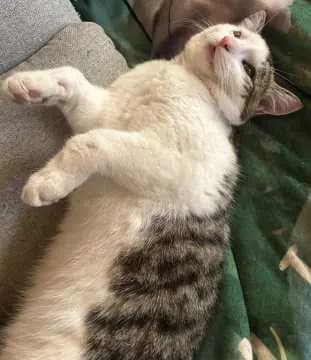 Max