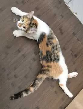 Minzie