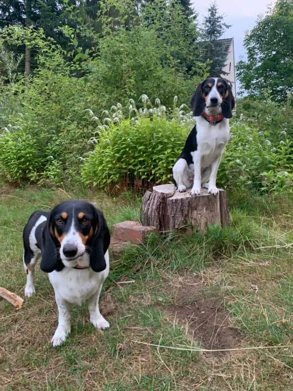 Käthe und Alev