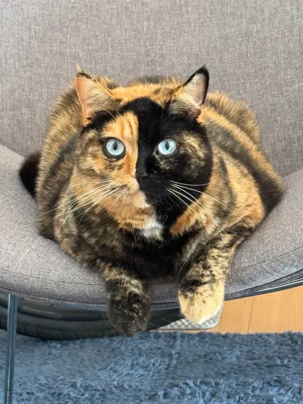Ruby