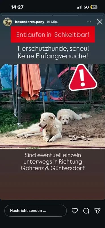 Azzura und Jolie