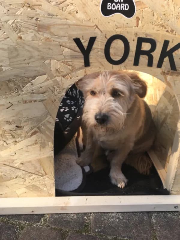 York