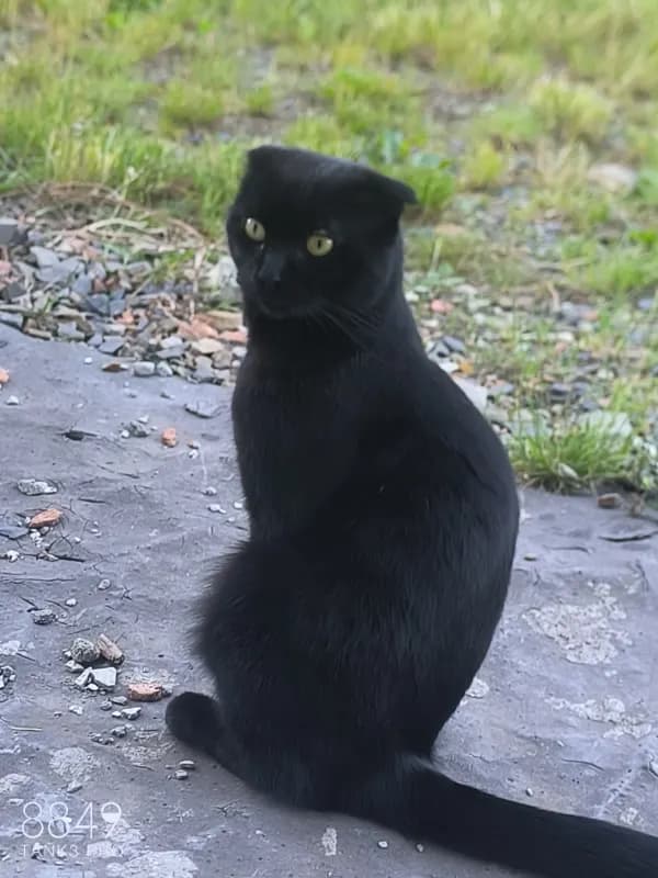 Balthasar