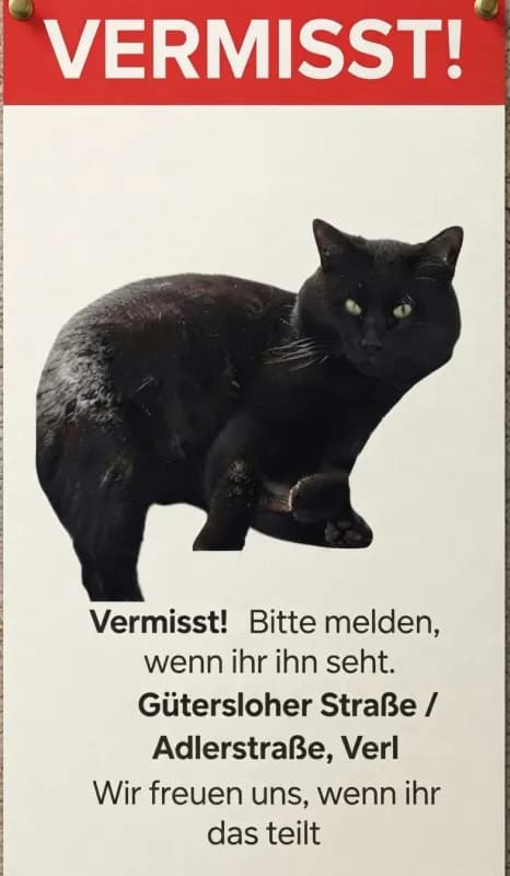 Mietzi