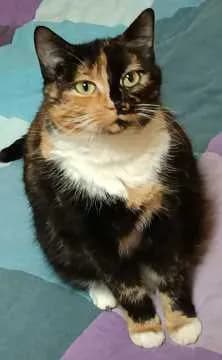 Missy