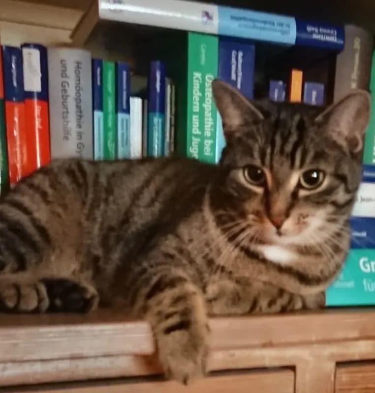 Liesbeth