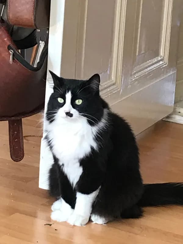 Fiona