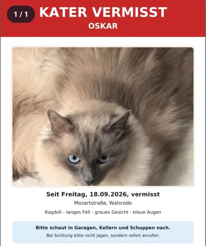 Oscar