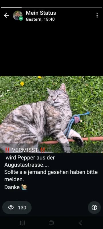 Pepper