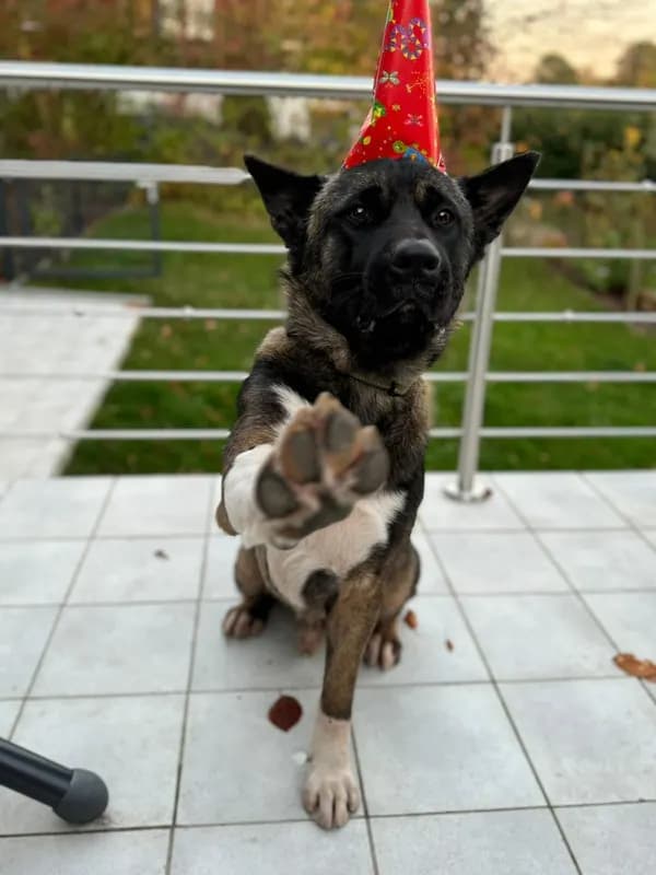 Odin