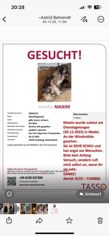 Maxim