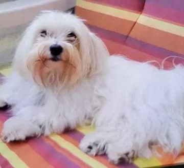 Charlie
